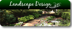 Landscape Design & Installation